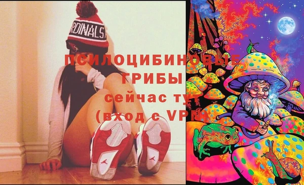 крисы Алексеевка