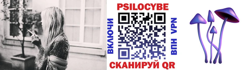Псилоцибиновые грибы Psilocybine cubensis  Борзя 