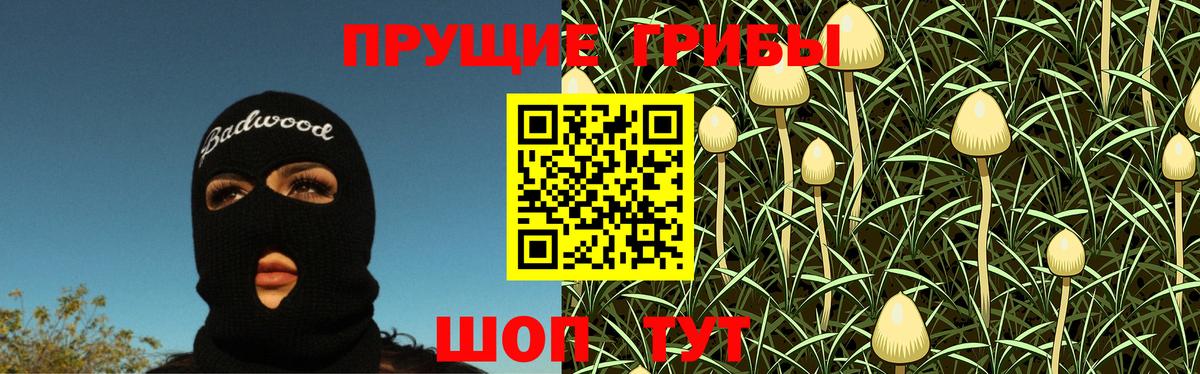 Галлюциногенные грибы MAGIC MUSHROOMS  как найти закладки  Борзя  Галлюциногенные грибы прущие грибы  Вход с VPN 