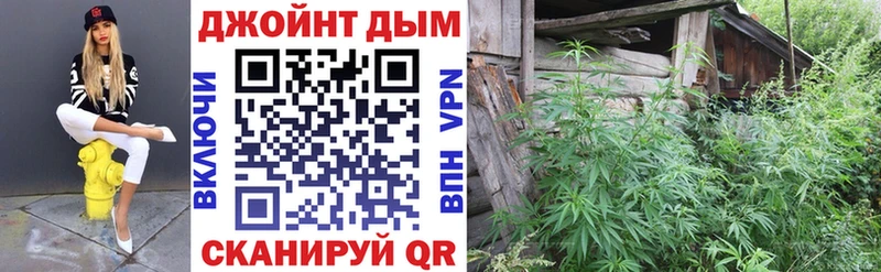 Конопля индика  где купить   Борзя 